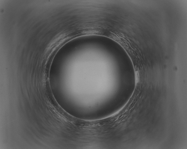X0000077340243200611031802