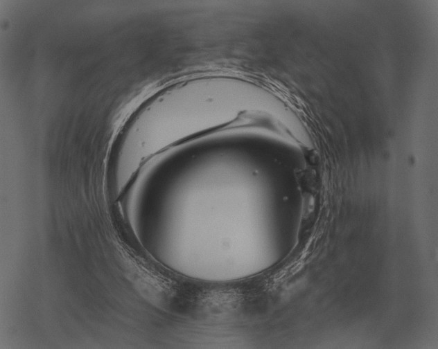 X0000077340248200611031802