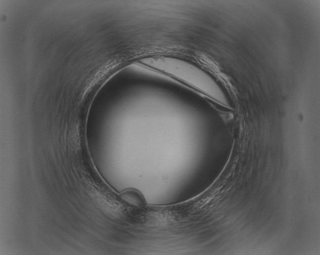 X0000077340250200611031803