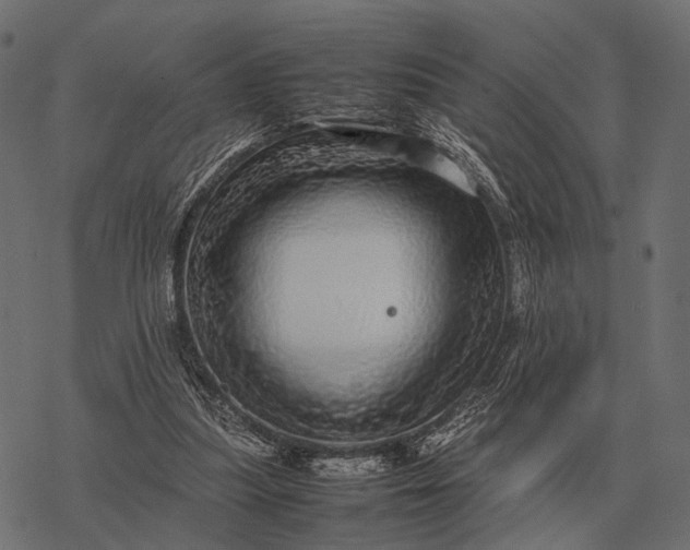 X0000077340251200611031803