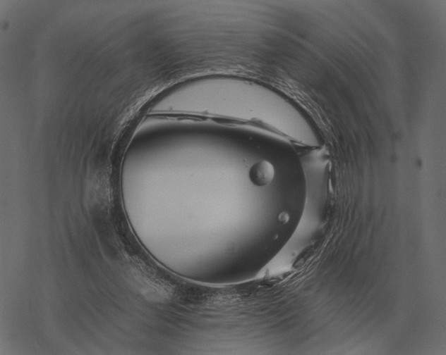 X0000077340252200611031803