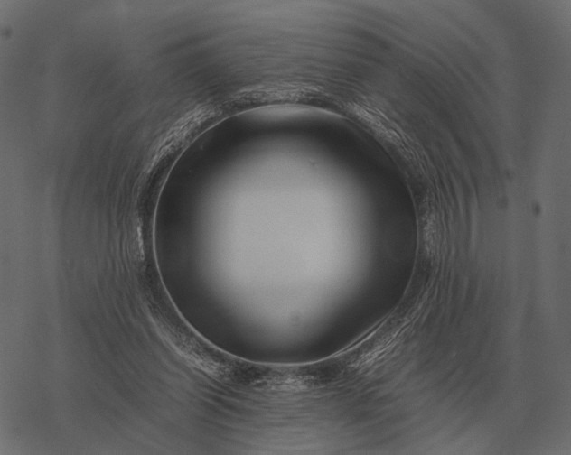 X0000077340254200611031803
