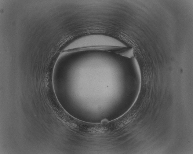 X0000077340255200611031803