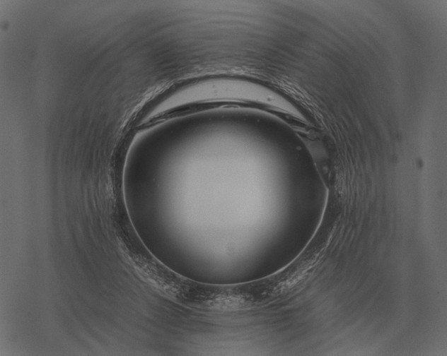 X0000077340256200611031803