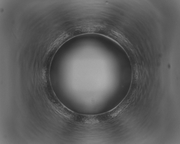 X0000077340258200611031803