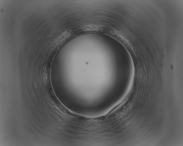 X0000077340261200611031803