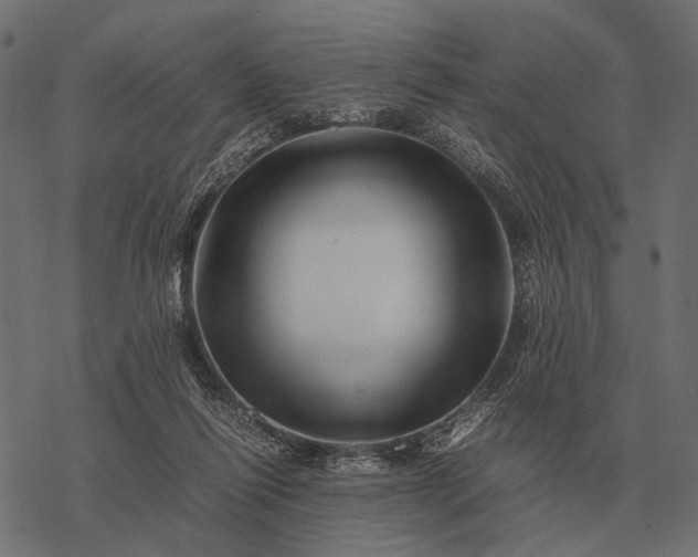 X0000077340262200611031803