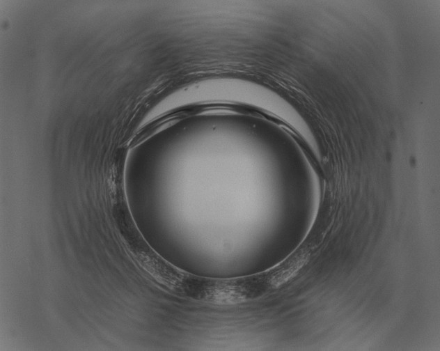 X0000077340264200611031803
