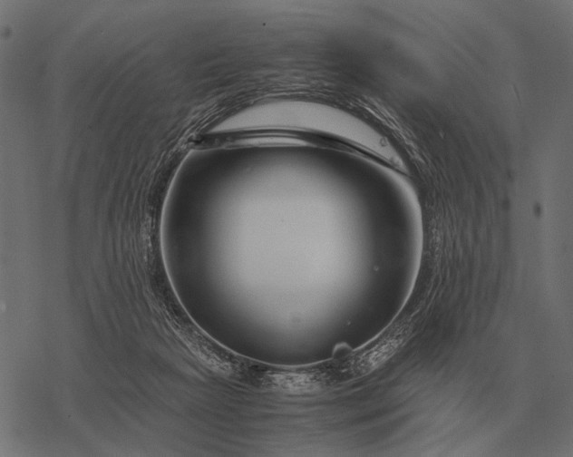 X0000077340265200611031803