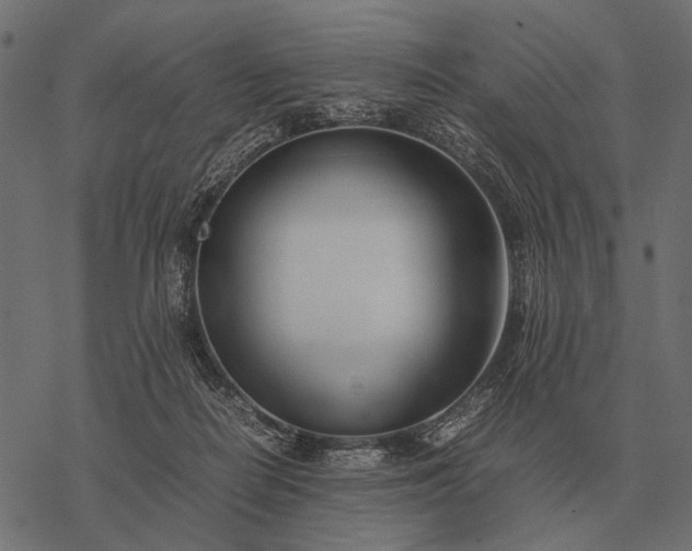 X0000077340266200611031803