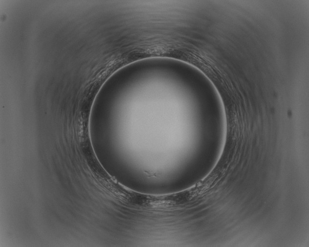 X0000077340268200611031803