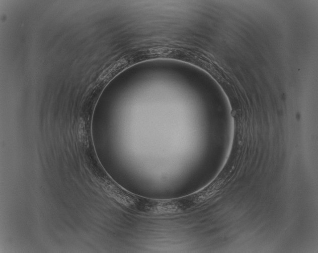 X0000077340270200611031803