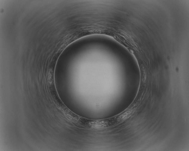 X0000077340273200611031803