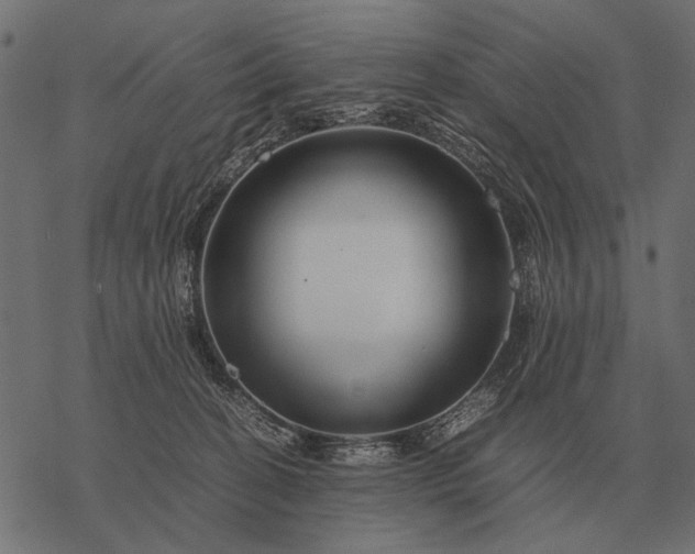 X0000077340274200611031803