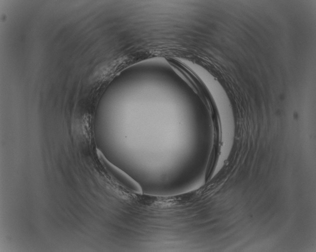 X0000077340280200611031803