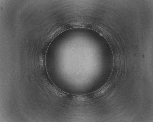 X0000077340282200611031803