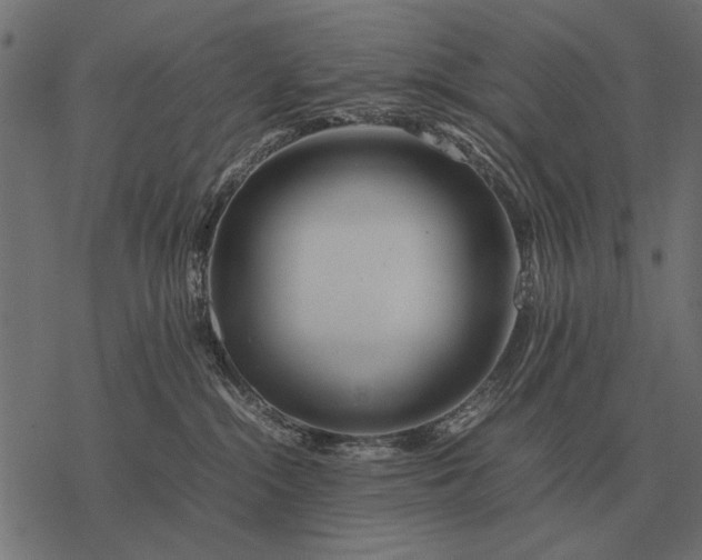 X0000077340284200611031803
