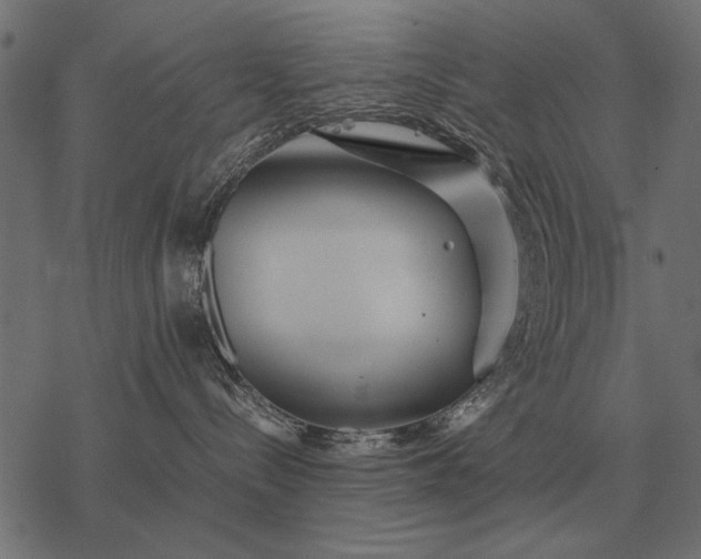 X0000077340288200611031803
