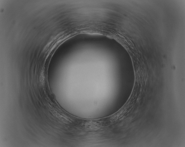 X0000077340290200611031802
