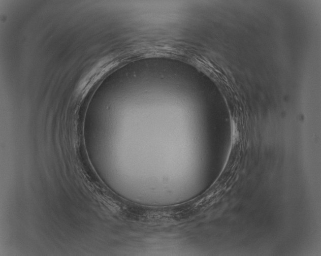 X0000077340291200611031802