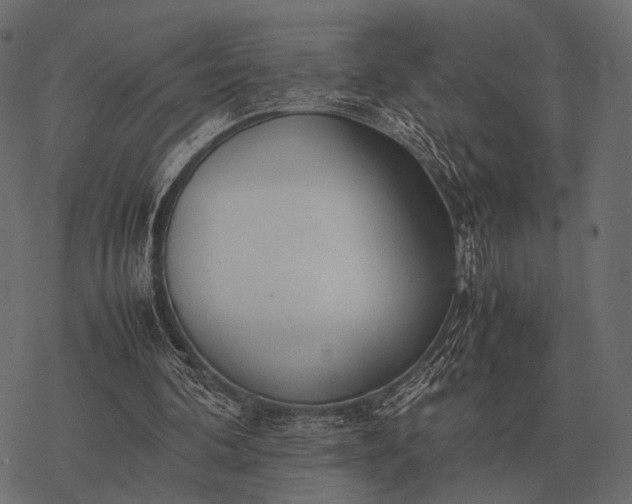 X0000077340292200611031802