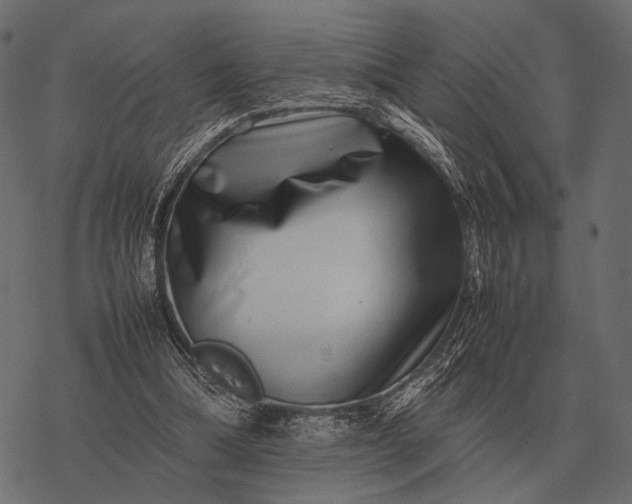 X0000077340298200611031802