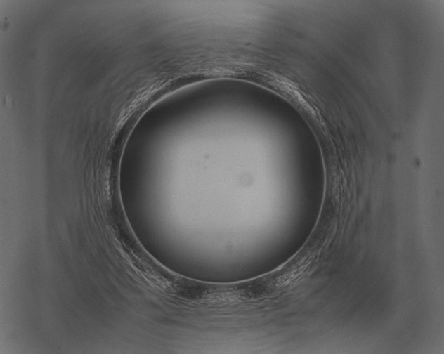 X0000077340299200611031802