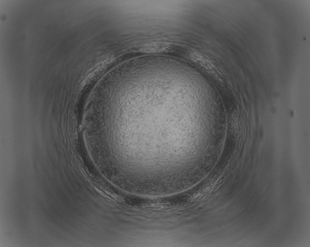 X0000077340303200611031802