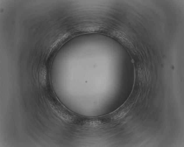 X0000077340304200611031802