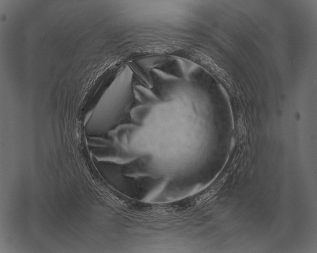 X0000077340305200611031802