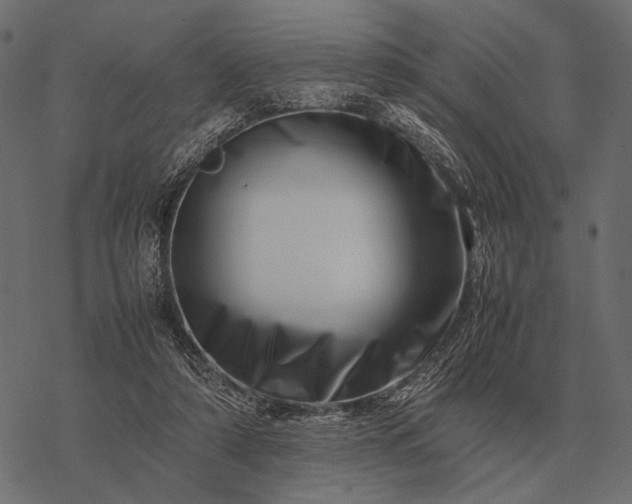 X0000077340306200611031802