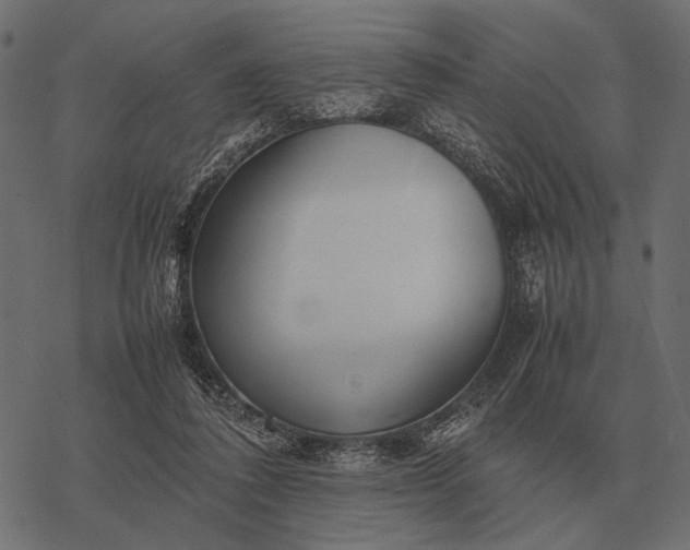 X0000077340308200611031802