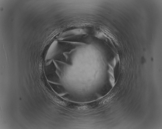 X0000077340309200611031802