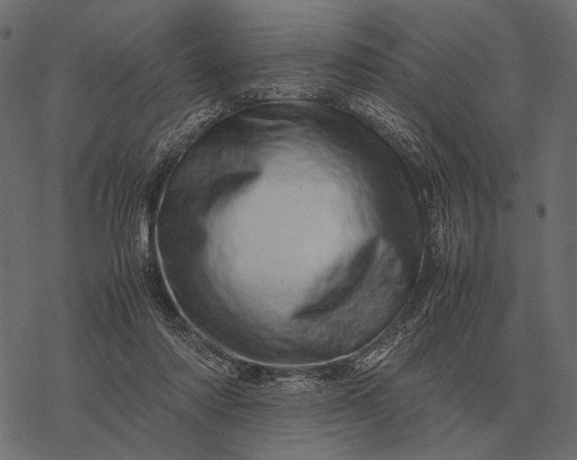 X0000077340310200611031802