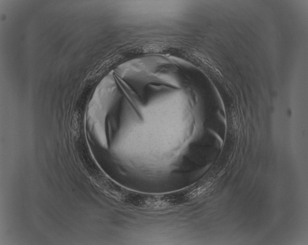 X0000077340311200611031802