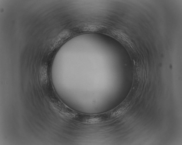 X0000077340312200611031802