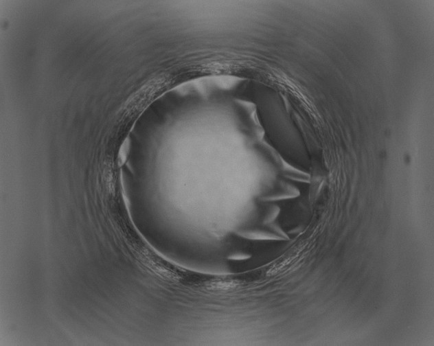 X0000077340313200611031802