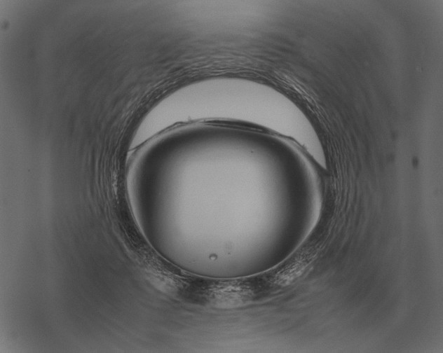X0000077340315200611031802