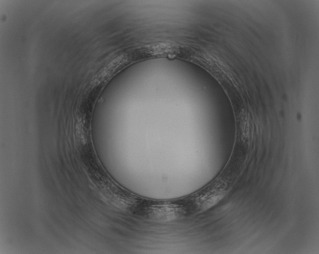 X0000077340316200611031802