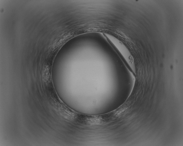 X0000077340318200611031802