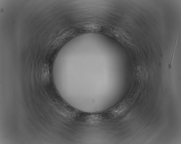 X0000077340320200611031802