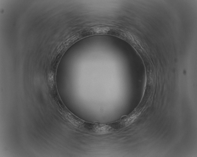 X0000077340321200611031802