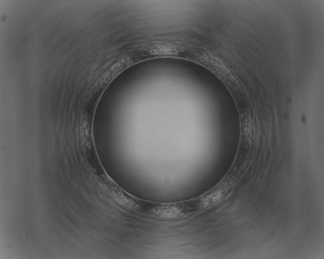 X0000077340322200611031802