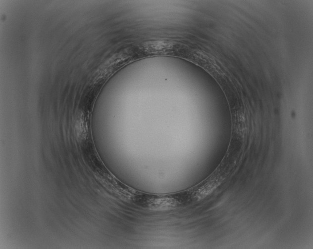 X0000077340324200611031802