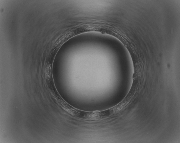 X0000077340325200611031802