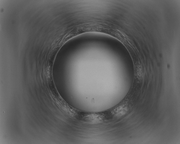 X0000077340326200611031802