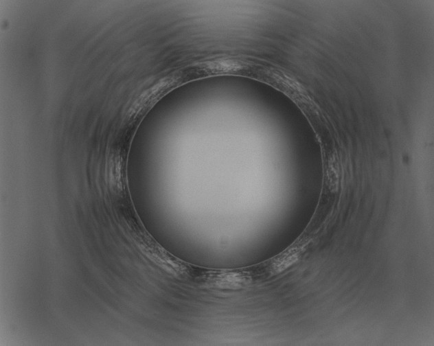 X0000077340330200611031802