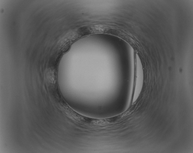 X0000077340331200611031802