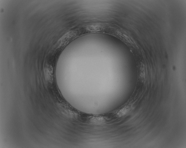 X0000077340332200611031802
