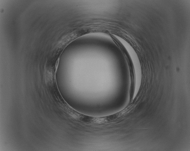 X0000077340333200611031802